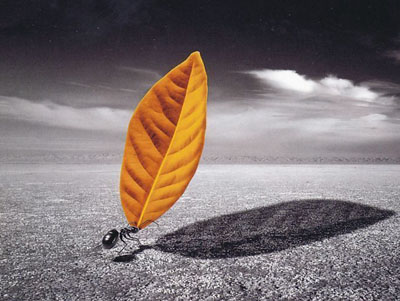 ��վ��I(y��)